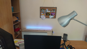 webcam's eye view, showing radiator, shelf with blue lights, and pinboard above