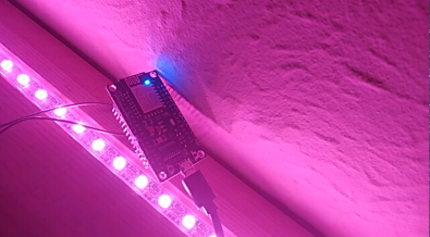 strip of pink LEDs embedded in a shelf, with an esp8266 on a wire in the foreground